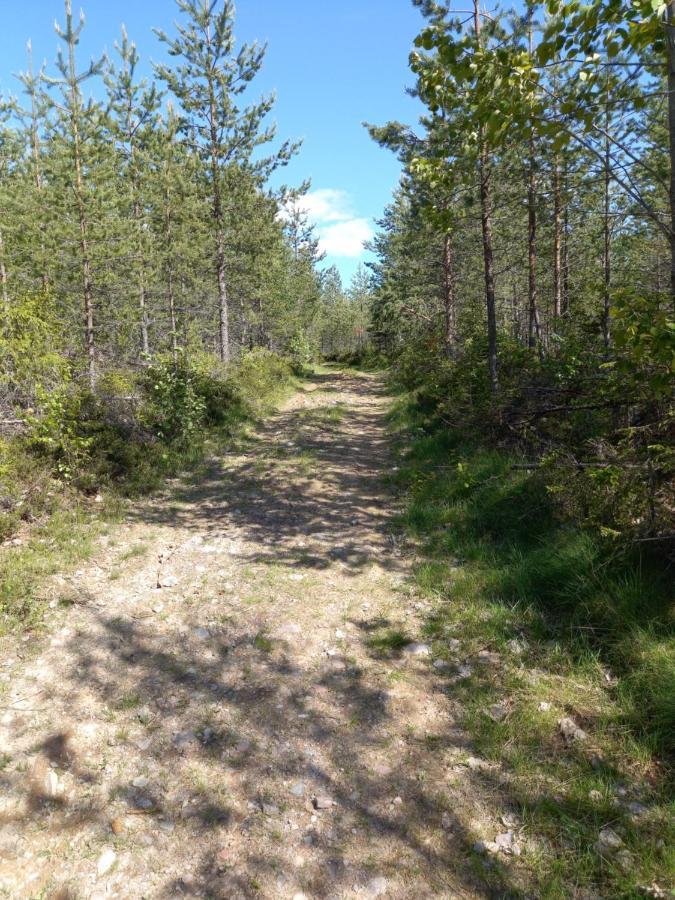 Mysig Laegenhet Med Fjaellutsikt I Saelen Apartamento Exterior foto