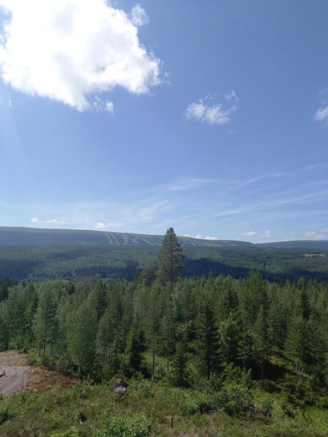 Mysig Laegenhet Med Fjaellutsikt I Saelen Apartamento Exterior foto